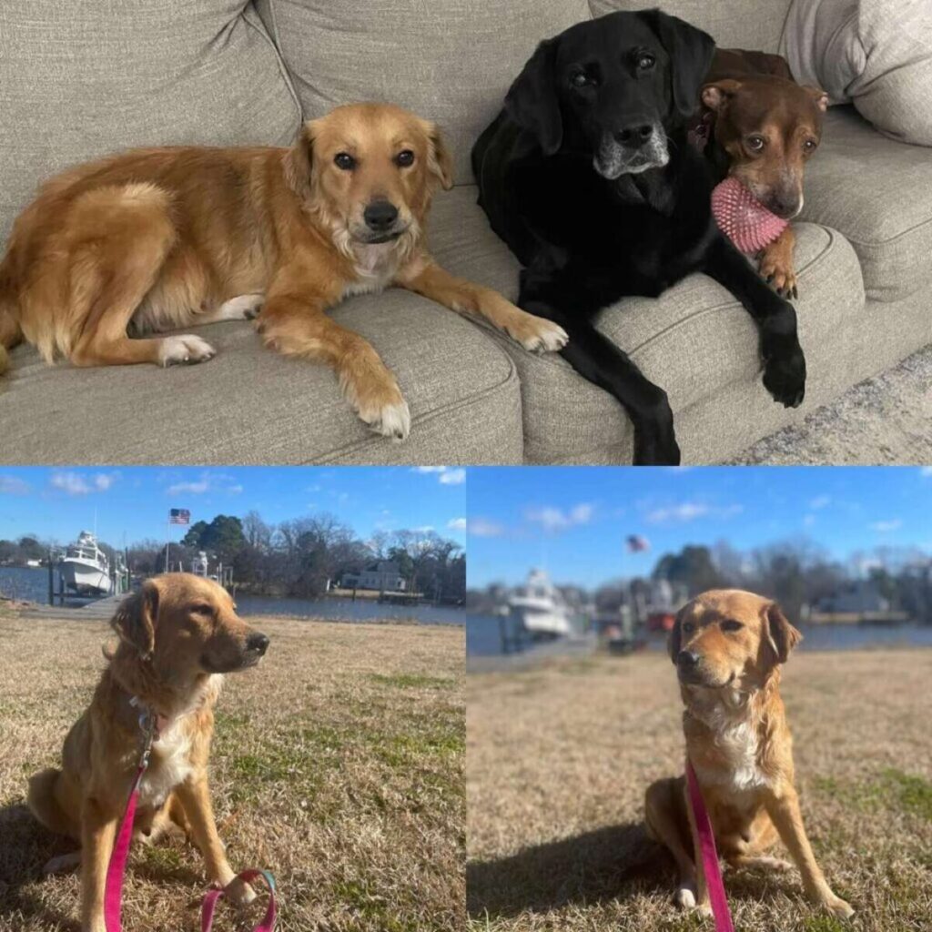 Solidarité autour de Connie