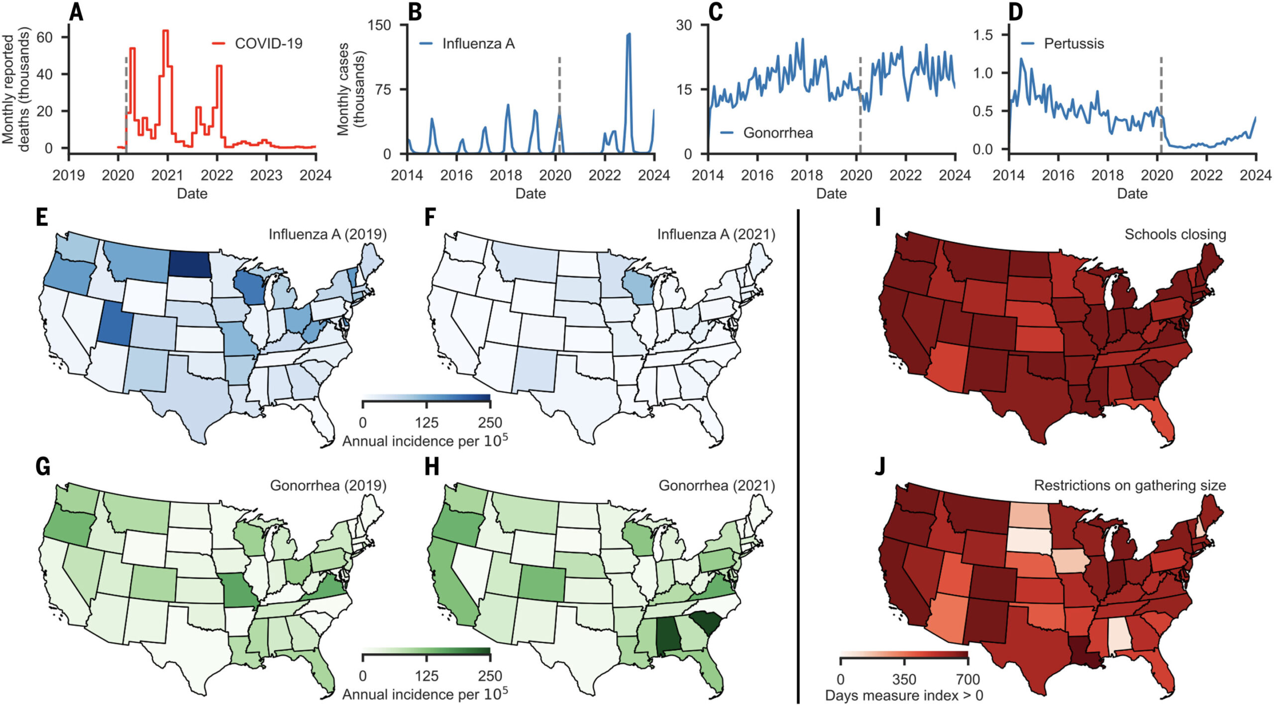 Les experts craignaient un rebond de la maladie après le COVID-19 – cela ne s'est pas produit