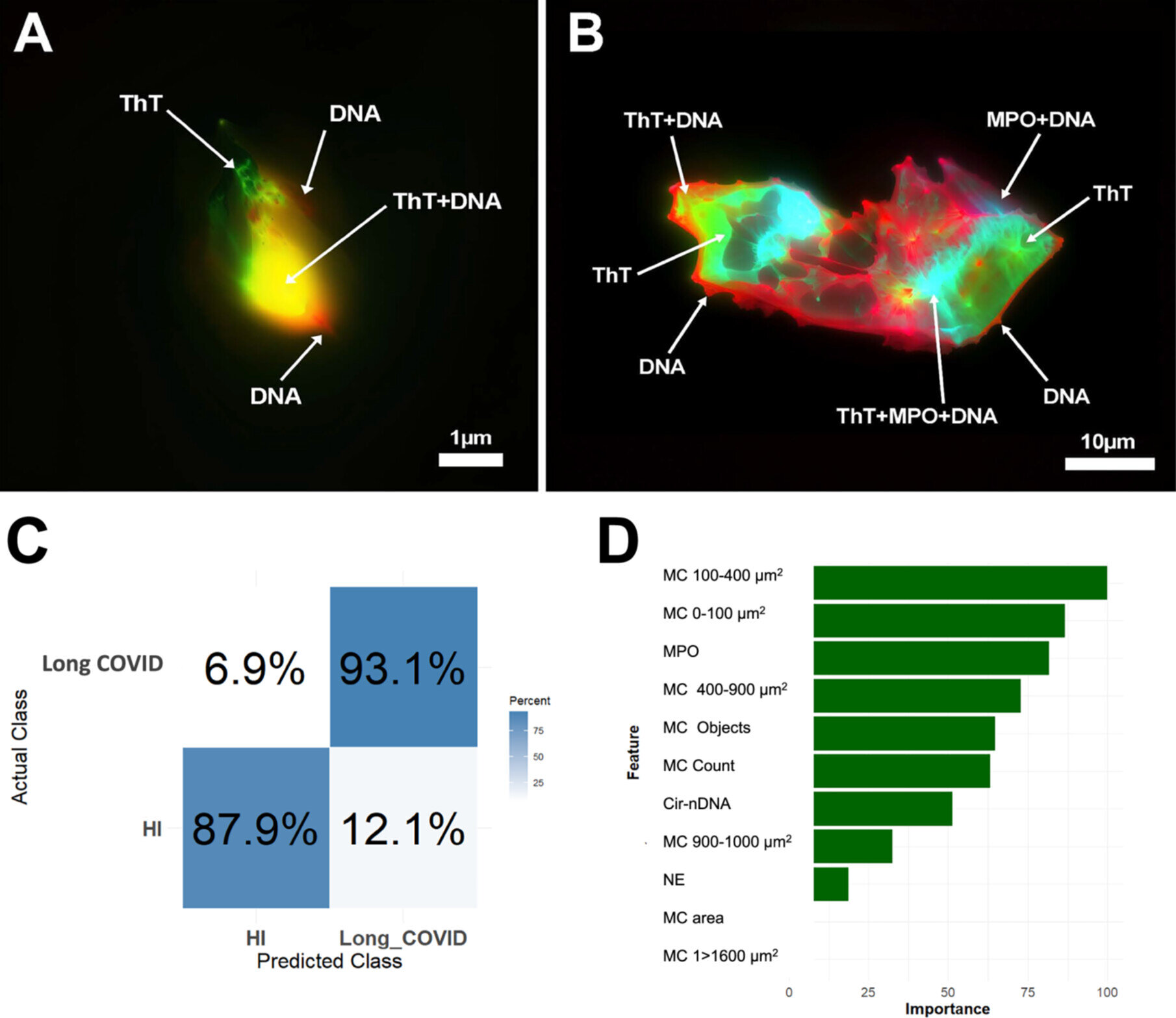 Les scientifiques révèlent une autre pièce du long puzzle du COVID