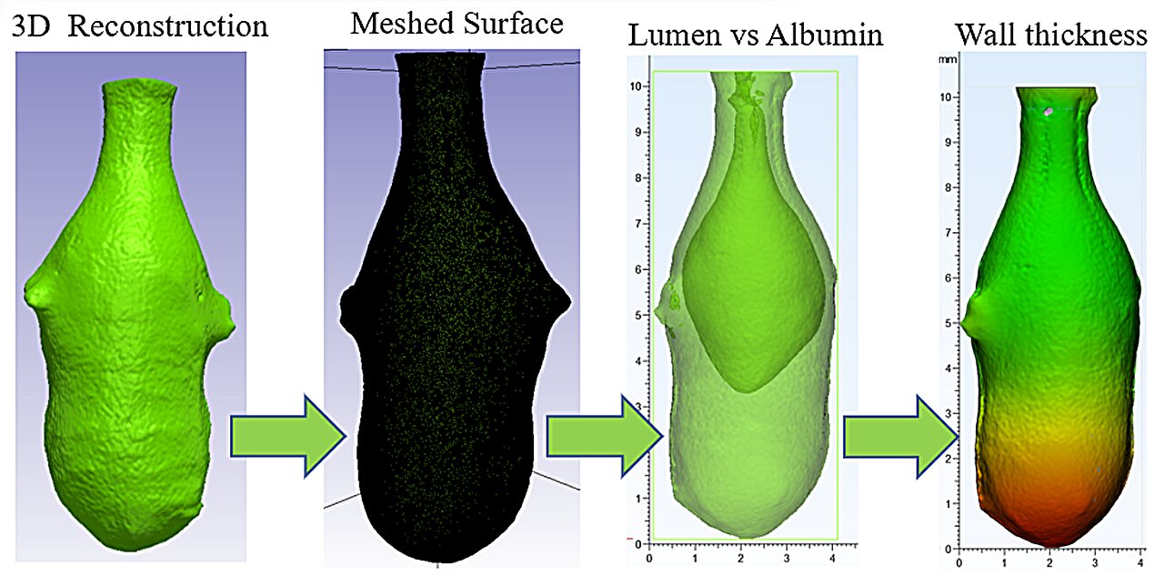 De nouvelles connaissances sur le fonctionnement réel de l'orgue