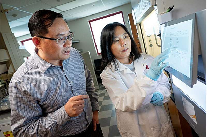 L'auteur co-correspondant Jian Xu, PhD, et le co-premier auteur Kaili Wang, PhD, Département de pathologie de St. Jude, dans le cadre d'un effort de collaboration avec l'Université Northwestern, ont découvert une nouvelle opportunité de traitement pour la drépanocytose et la β-thalassémie en sondant le mécanisme de la thérapie génique. Crédit : Hôpital de recherche pour enfants St. Jude La thérapie génique contre la drépanocytose et la β-thalassémie agit en perturbant la structure tridimensionnelle du génome