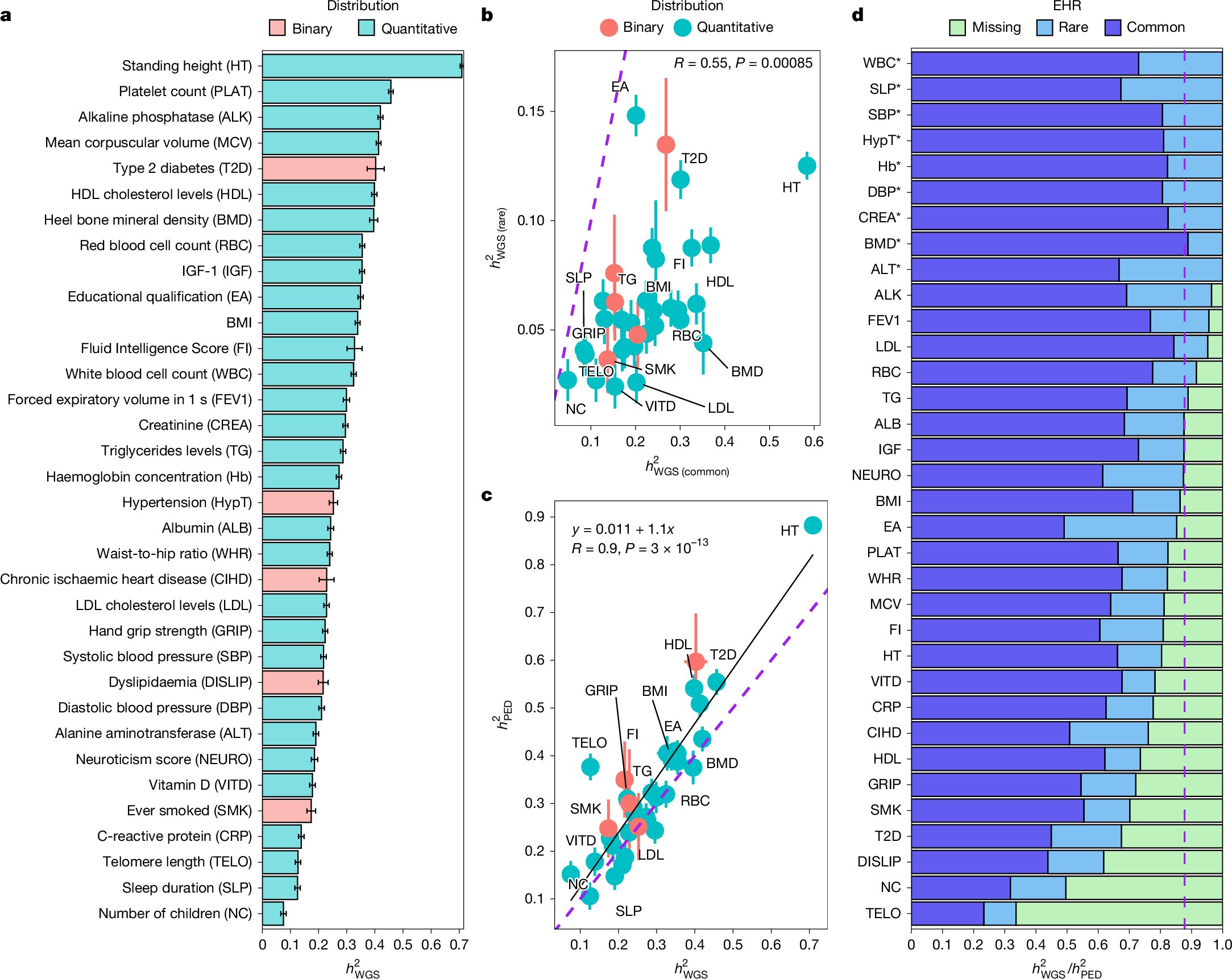 Une étude de séquençage quantifie l’influence génétique sur les caractéristiques et les maladies humaines