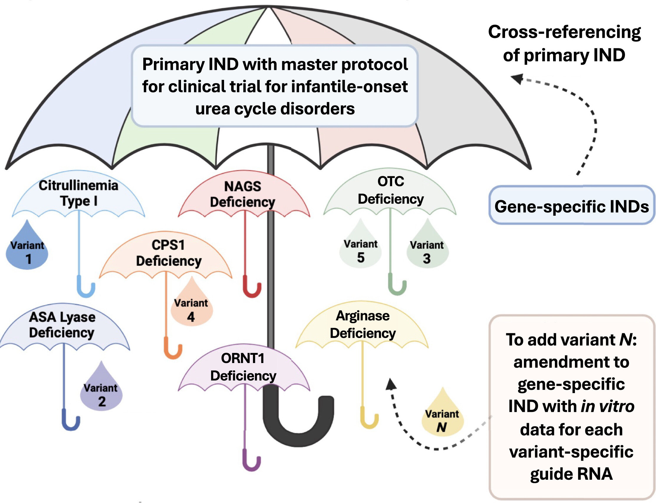 Des chercheurs vont tester la thérapie génique pour les maladies rares avec un nouveau protocole d'essai de la FDA