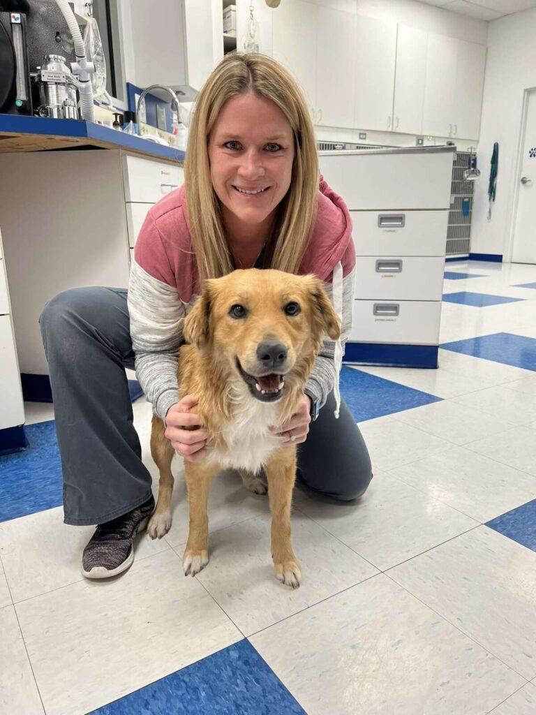 Connie chez le vétérinaire, examen et soins
