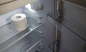 De plus en plus de gens mettent un rouleau de papier toilette au frigo : l’astuce incroyable et ultra-simple qui change tout