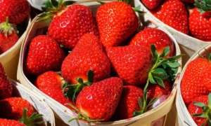Enfin révélé : le meilleur endroit pour conserver vos fraises et éviter qu’elles ne pourrissent