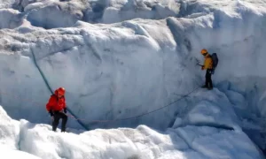 Découverte stupéfiante en Antarctique : des créatures semblables à des langoustes à 457 mètres sous la glace