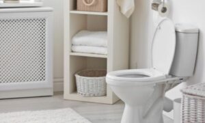 Éliminez à jamais l’odeur d’urine dans la salle de bains : guide ultime et astuces infaillibles pour des toilettes impeccables et fraîches