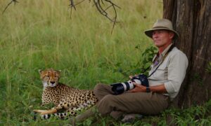 Un guépard endormi à ses côtés : le réveil le plus incroyable d’un photographe animalier après une sieste sous un arbre
