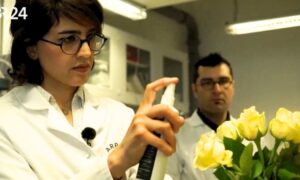 Le spray comestible garde les fruits et légumes frais plus longtemps