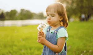 Allergènes printaniers : conseils pour éviter les allergies