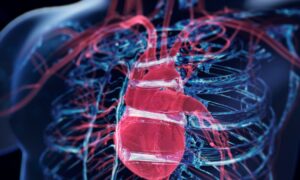 Améliorez votre santé cardiaque avec 12 aliments