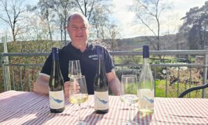 Ces vins blancs du lac de Constance accompagnent parfaitement les asperges fraîches