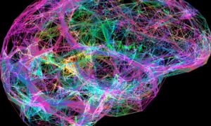 Des chercheurs découvrent la possibilité d&rsquo;inverser les symptômes de la démence