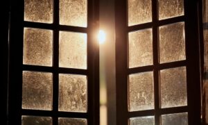 Il vaut mieux ne pas ouvrir la fenêtre de la chambre la nuit