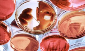 Le chercheur Claussen recherche de nouveaux principes actifs depuis 25 ans