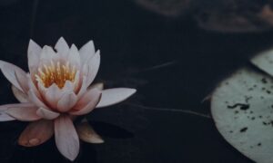 Réussir commence le matin : pourquoi les petites routines font la différence maintenant