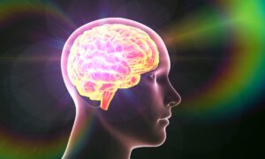 Un neurologue révèle : je regrette trois habitudes aujourd&rsquo;hui