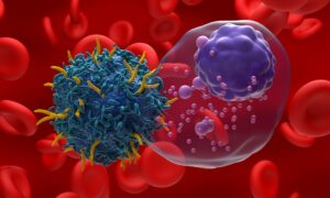 "Les cellules CAR T détectent les tumeurs dans tout le corps"