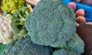 Durée de conservation du brocoli : Quand il n&rsquo;est plus bon