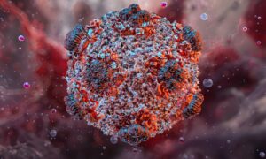 « L&rsquo;ivermectine ne fait absolument rien sur l&rsquo;hantavirus »