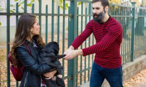 Après la séparation : les ex-partenaires doivent acheter leur chien aux enchères