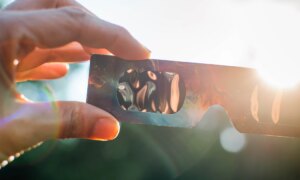 Les lunettes de sécurité et les filtres sont très demandés : délais de livraison plus longs