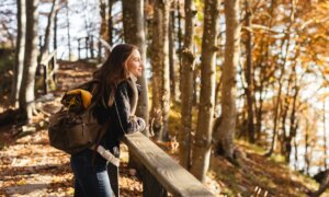 Défiez le blues de l&rsquo;automne avec du fromage et des bains de forêt