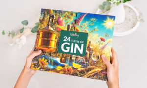 Grand coffret de dégustation de gin avec 24 variétés pour 49,90 euros