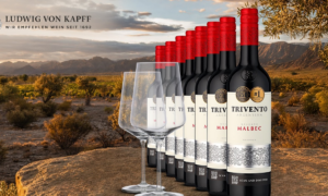 Plaisir argentin : Trivento Reserve en pack de 8
