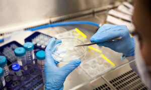 Des chercheurs de Bonn rajeunissent les cellules d&rsquo;une personne de 80 ans jusqu&rsquo;à 60 ans