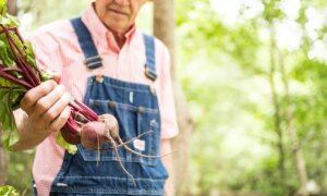 Un homme de 82 ans a failli mourir d&rsquo;une overdose de betterave